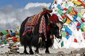 Bhutan Culture
